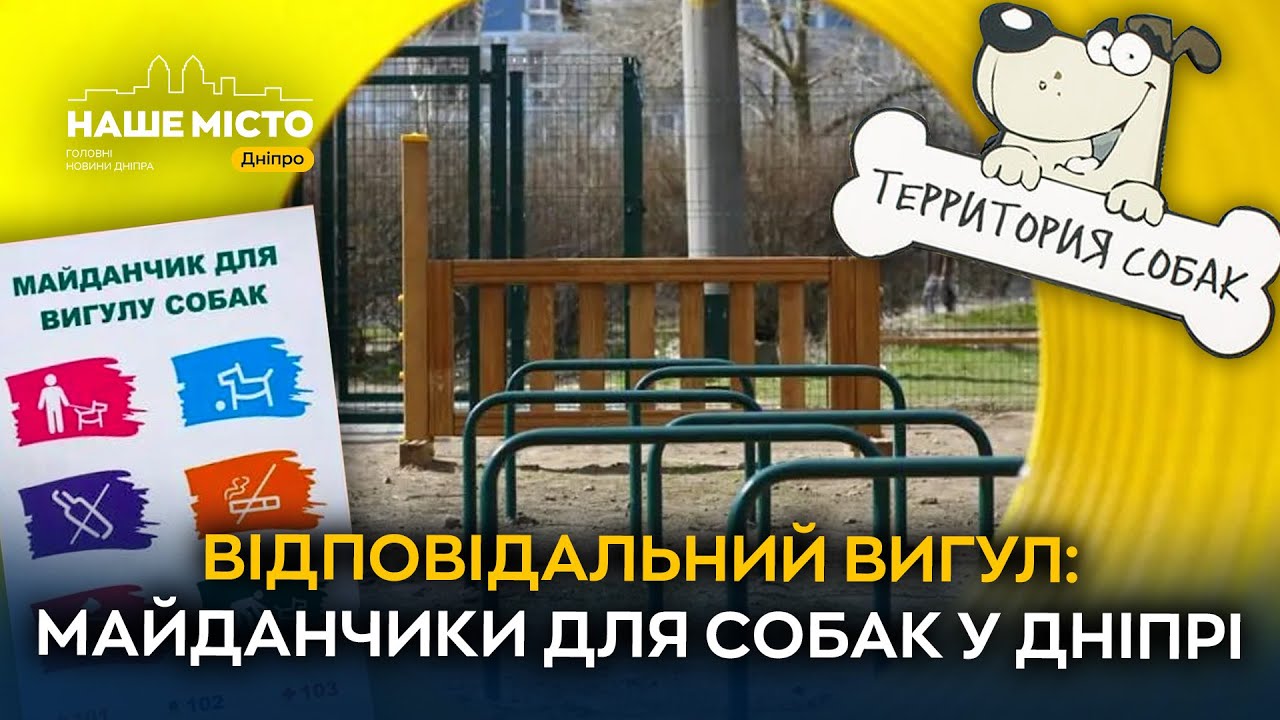 Собаки на тренуванні: як працюють спеціальні майданчики в Дніпрі
