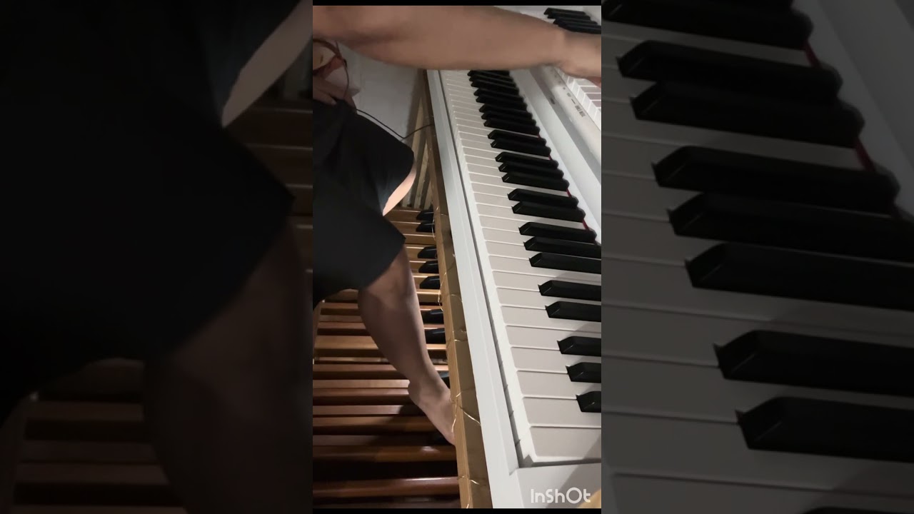 Cânticos para Crianças - órgão solo