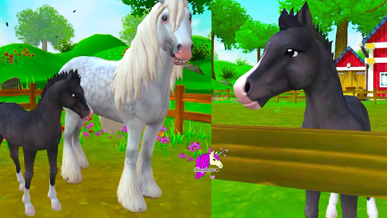 New Foal ! Buying New Irish Cob Draft Horse Star Stable Online Horse App Video