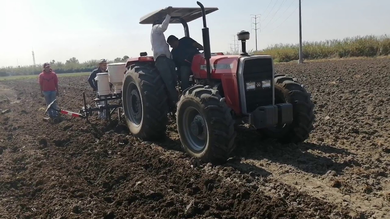 MF 285 CLASSIC 4WD SEMBRANDO TRADICIONAL 6004
