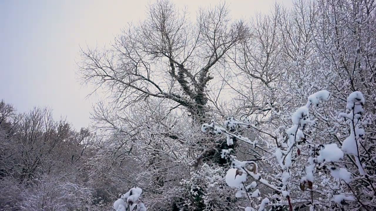la neige