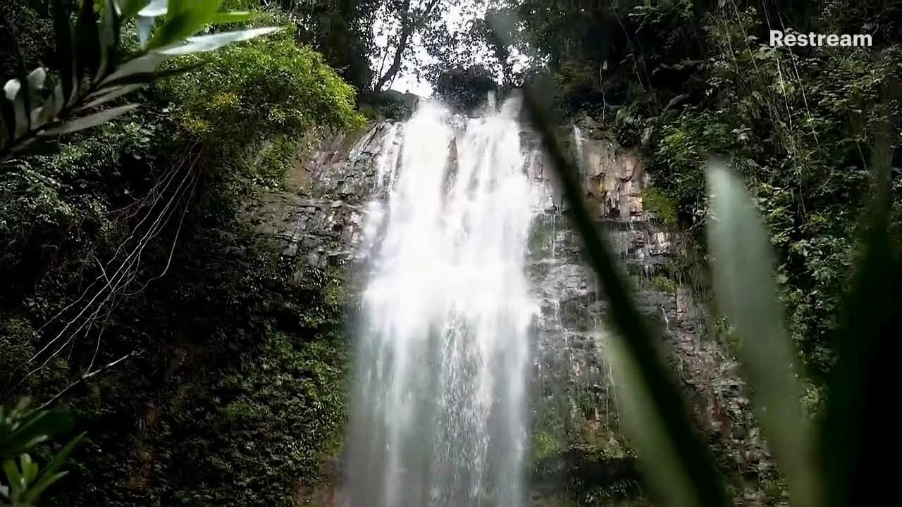 A Journey to Calm: Soothing Sounds & Nature’s Beauty