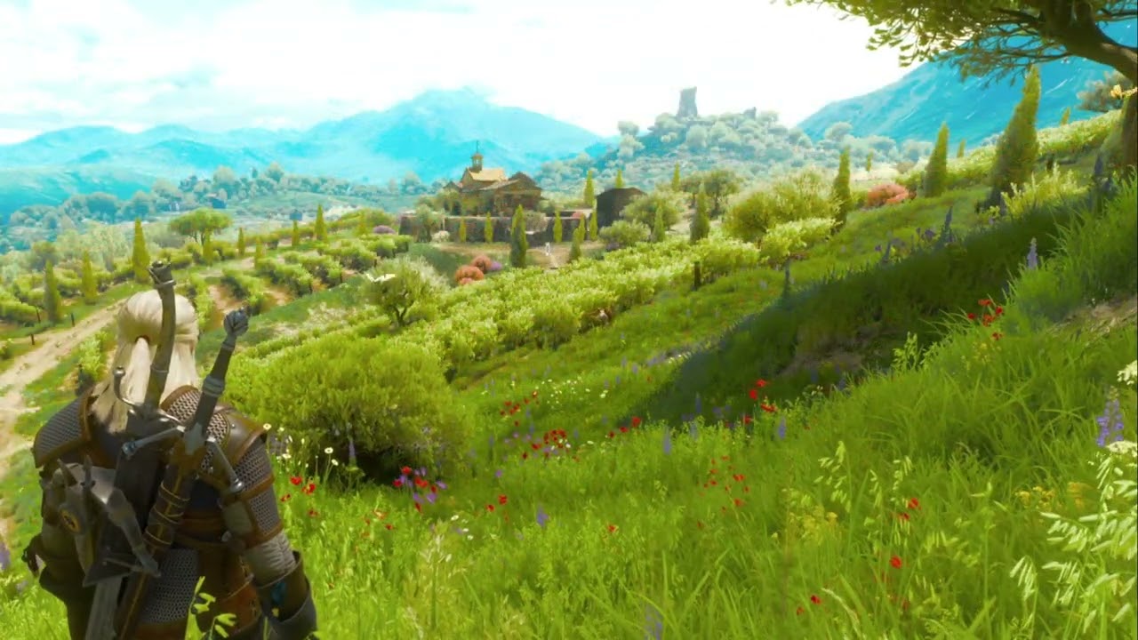 🍷 Golden Vineyards | The Witcher 3 | Toussaint Panoramic Nature & Wind ASMR (No Talk)Description: