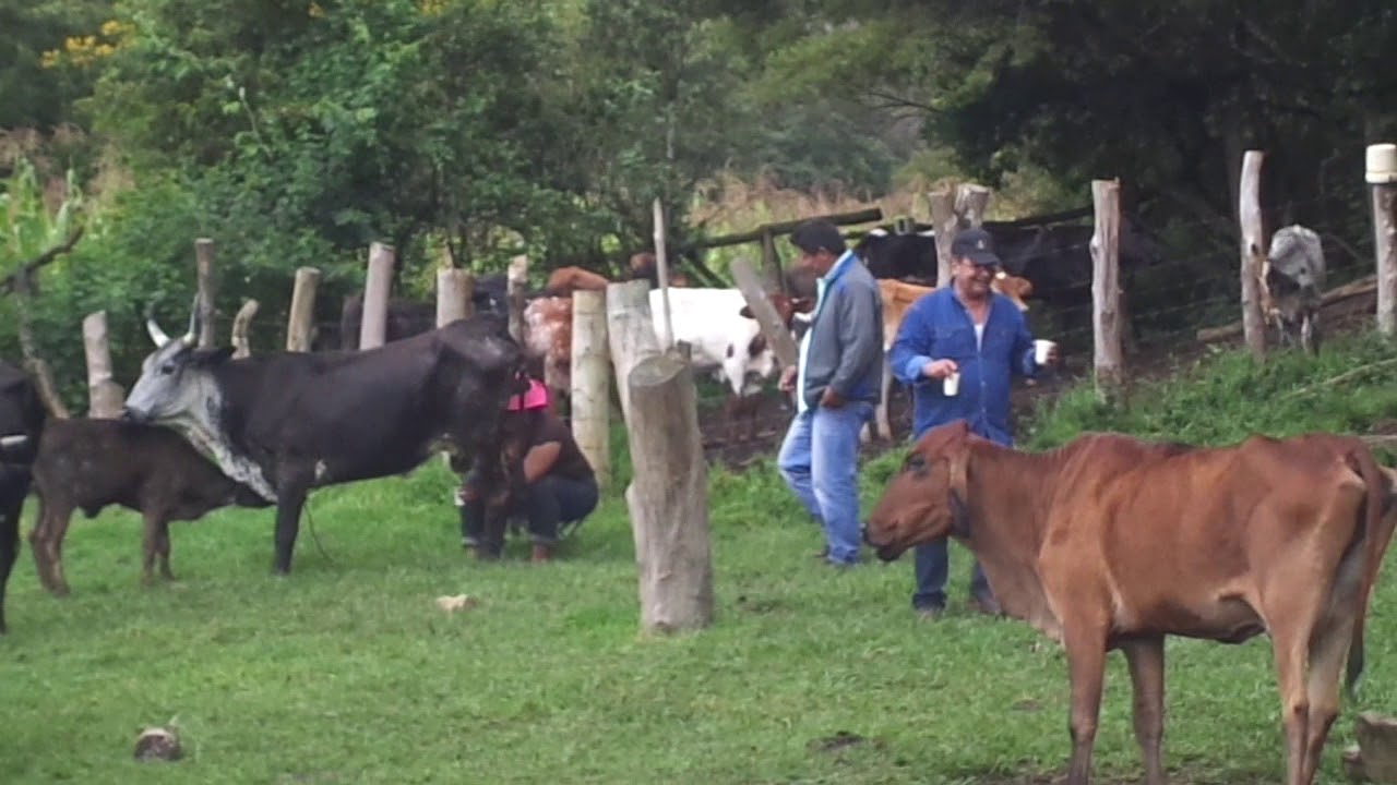 Un dia de campo en Tierras Nuevas Postrervalle