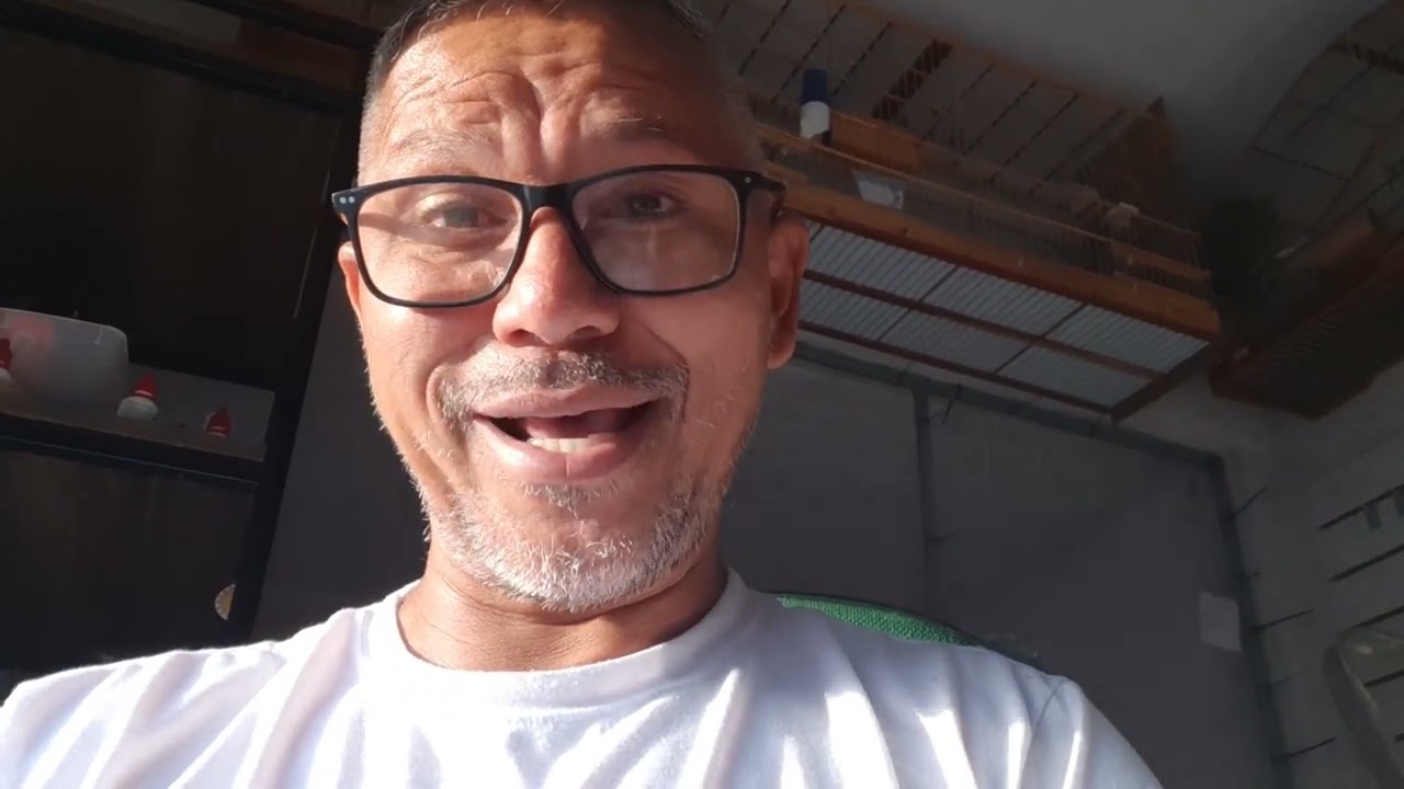 Como saber se galo de campina é macho ou fêmea ja adulto dando duas notas✌🐣