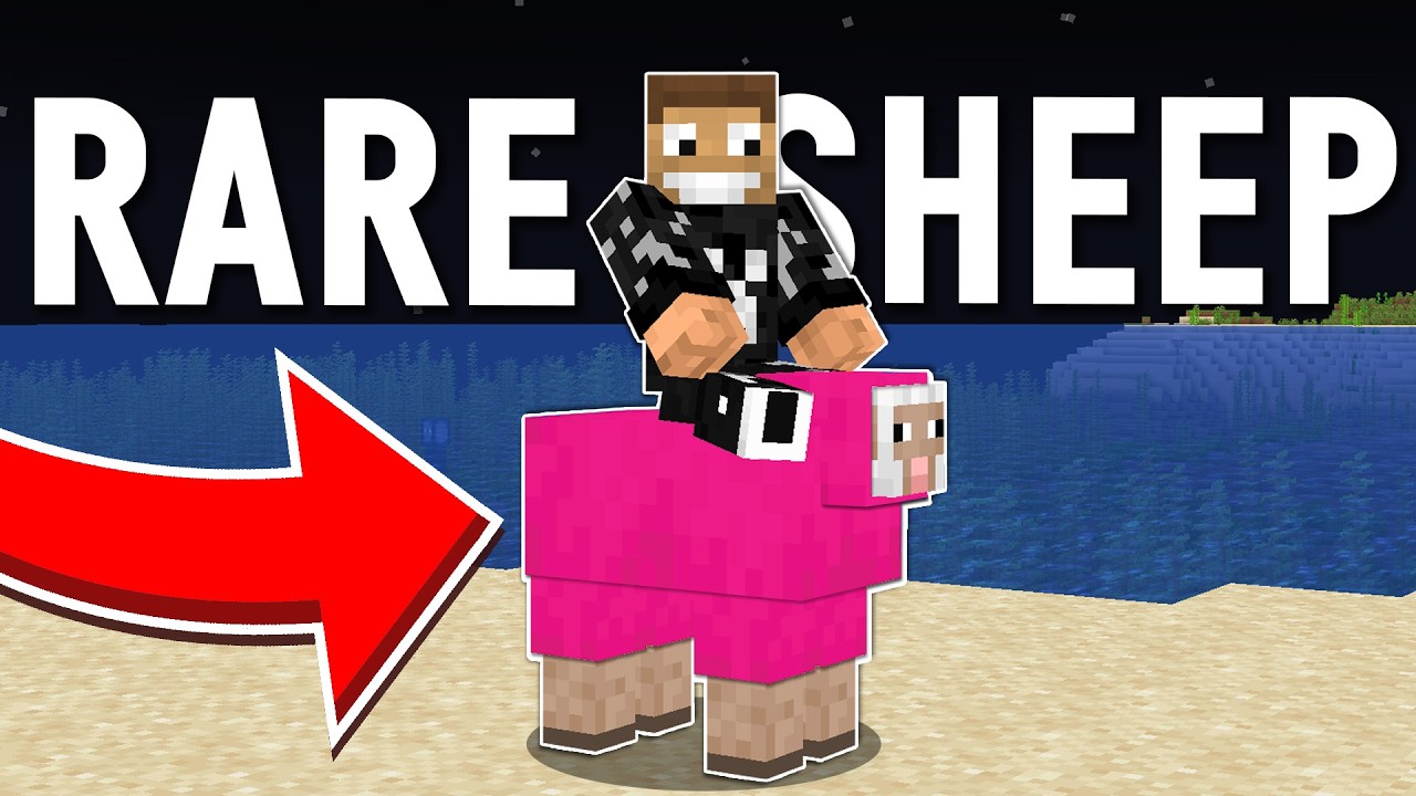 Hardcore, Hunt for the RAREST Sheep