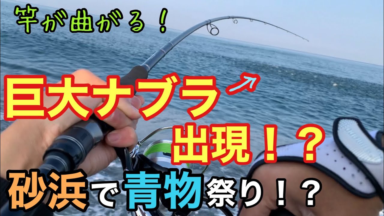 サーフで巨大ナブラが出現！？青物祭り開催！石川県・加賀市にある砂浜でショアジギングをしてきました。
