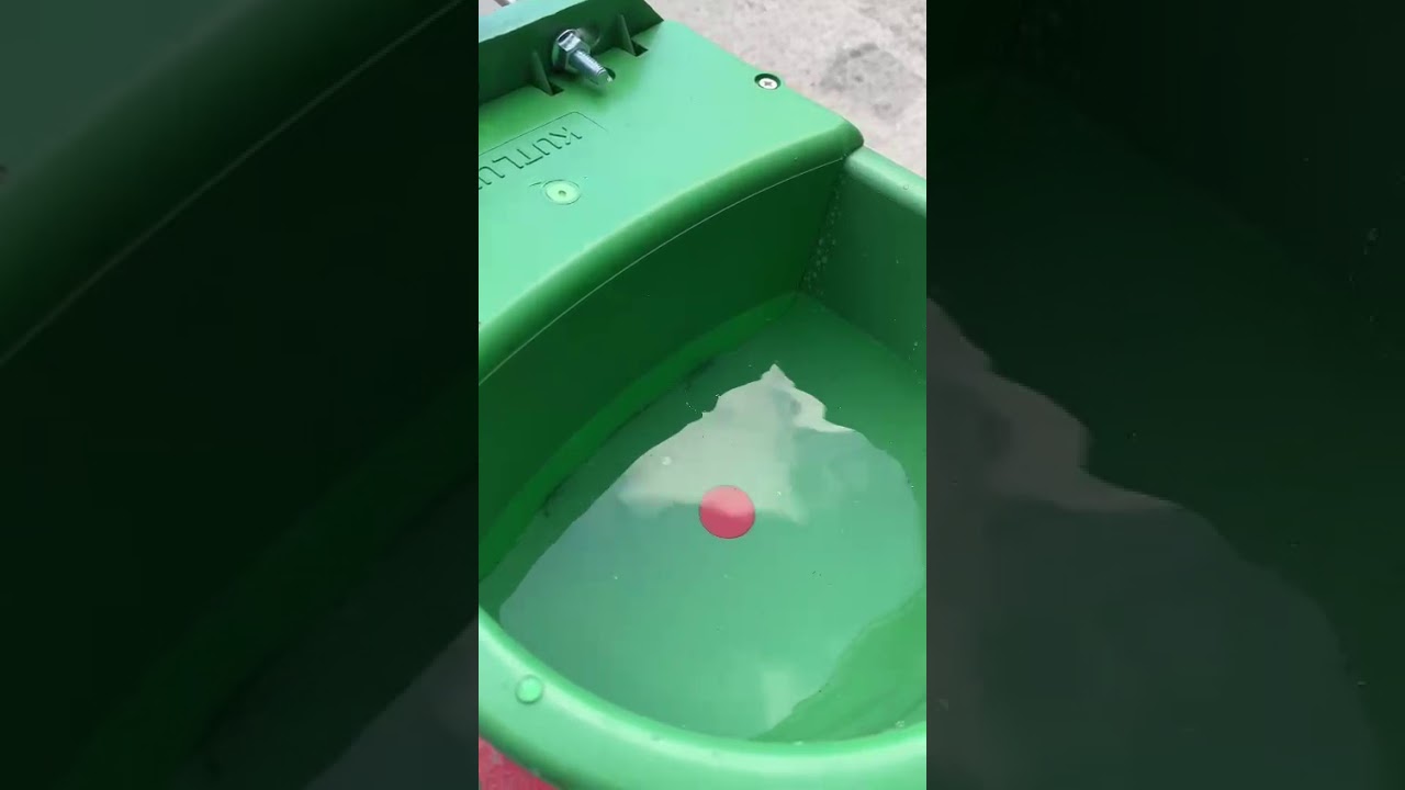 Otomatik Şamandıralı 4 Litre Plastik Hayvan Suluğu
