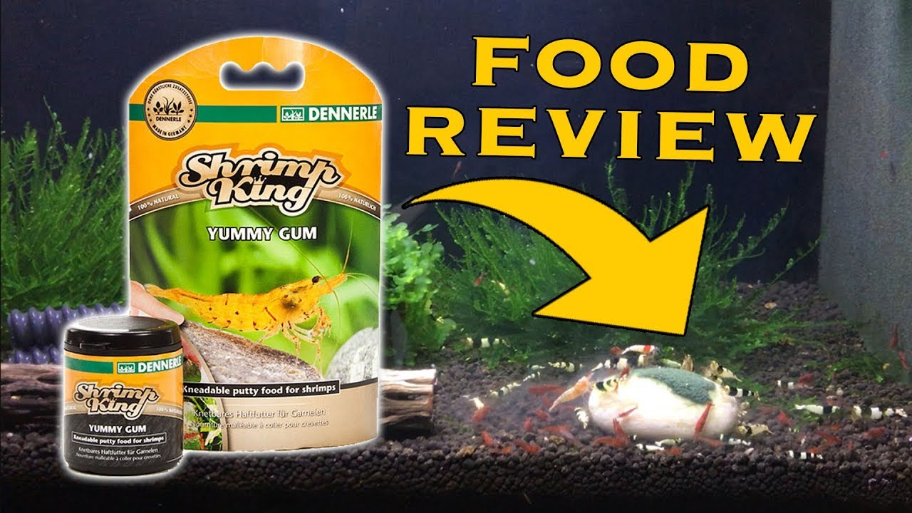Dennerle Shrimp King Review - Yummy Gum