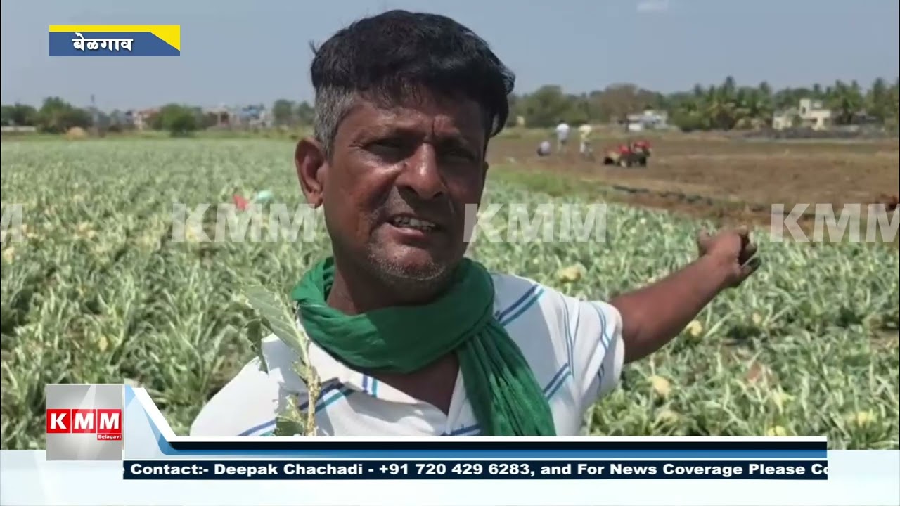 Belagavi Farmer&rsquo;s Crops Destroyed by Hailstorm, Lakhs Lost, Family Seeks Govt Help