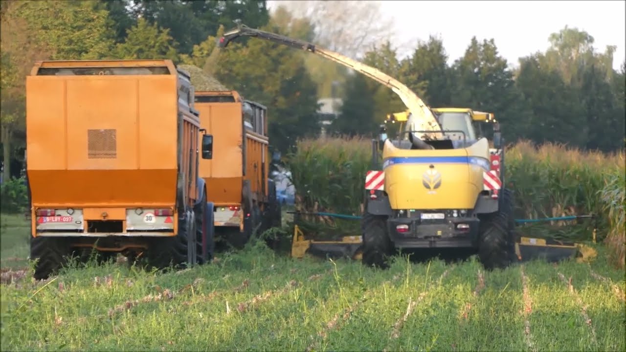 Lavens mais hakselen 2023 (1) , New Holland FR 700