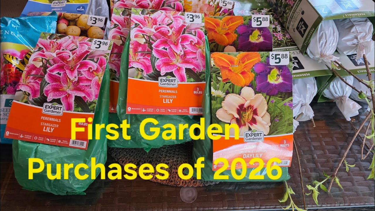 Garden Purchases. Bulbs and Bare Root Shrubs and Trees.