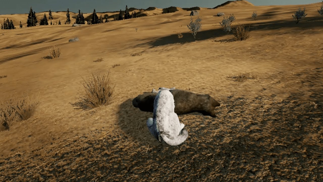 Finding a mate in WolfQuest3