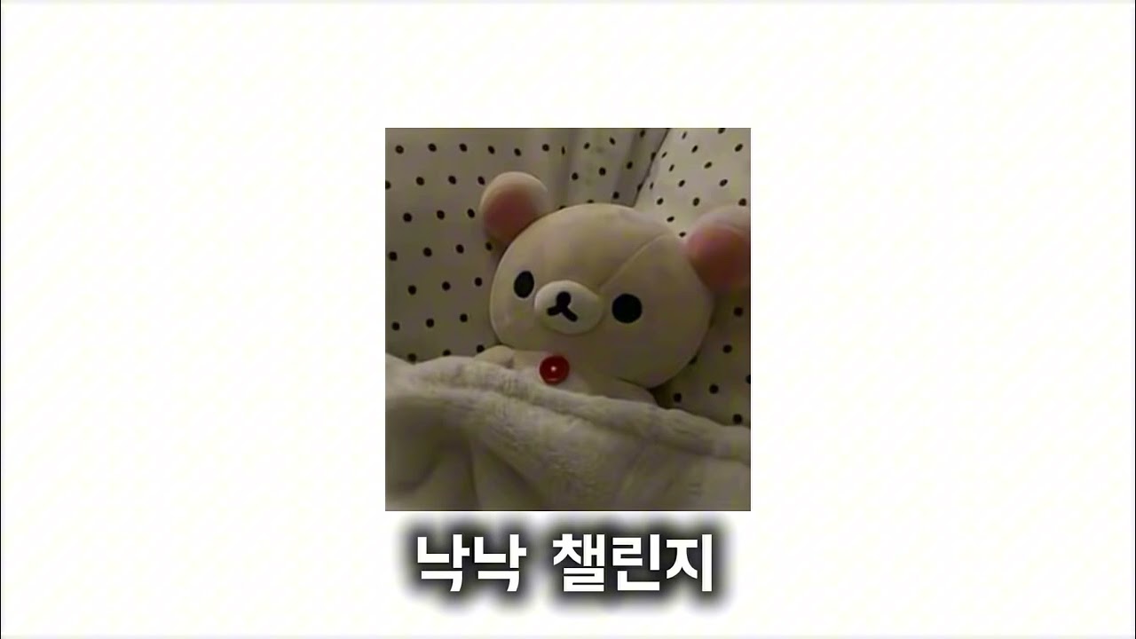 2026 틱톡 랜덤플레이 댄스🩵