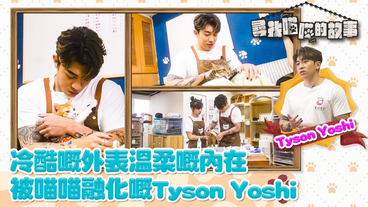 尋找喵喵的故事 ｜EP7 PT1｜ 冷酷嘅外表溫柔嘅內在 被喵喵融化嘅Tyson Yoshi ｜ Tyson Yoshi  ｜ HOYTV