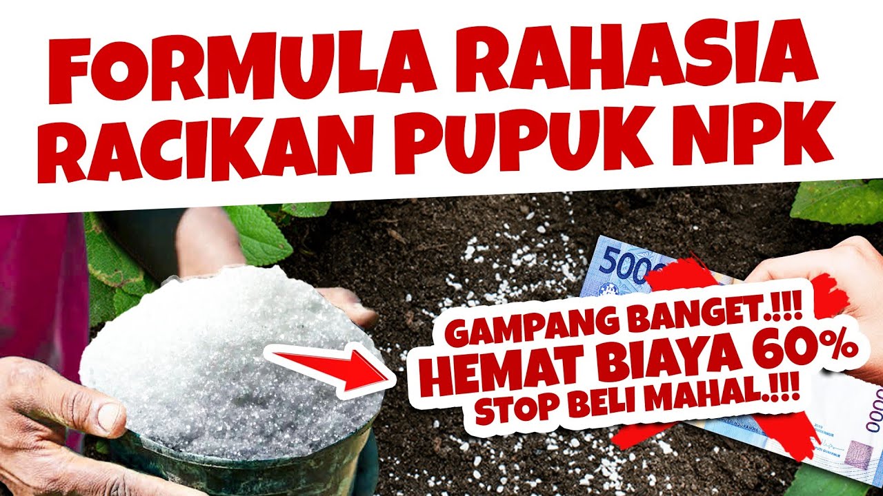 STOP BELI MAHAL.❗❗❗ FORMULA RAHASIA PUPUK NPK, HEMAT BIAYA 60%. MAU.?? | Agar tanaman Subur & Lebat