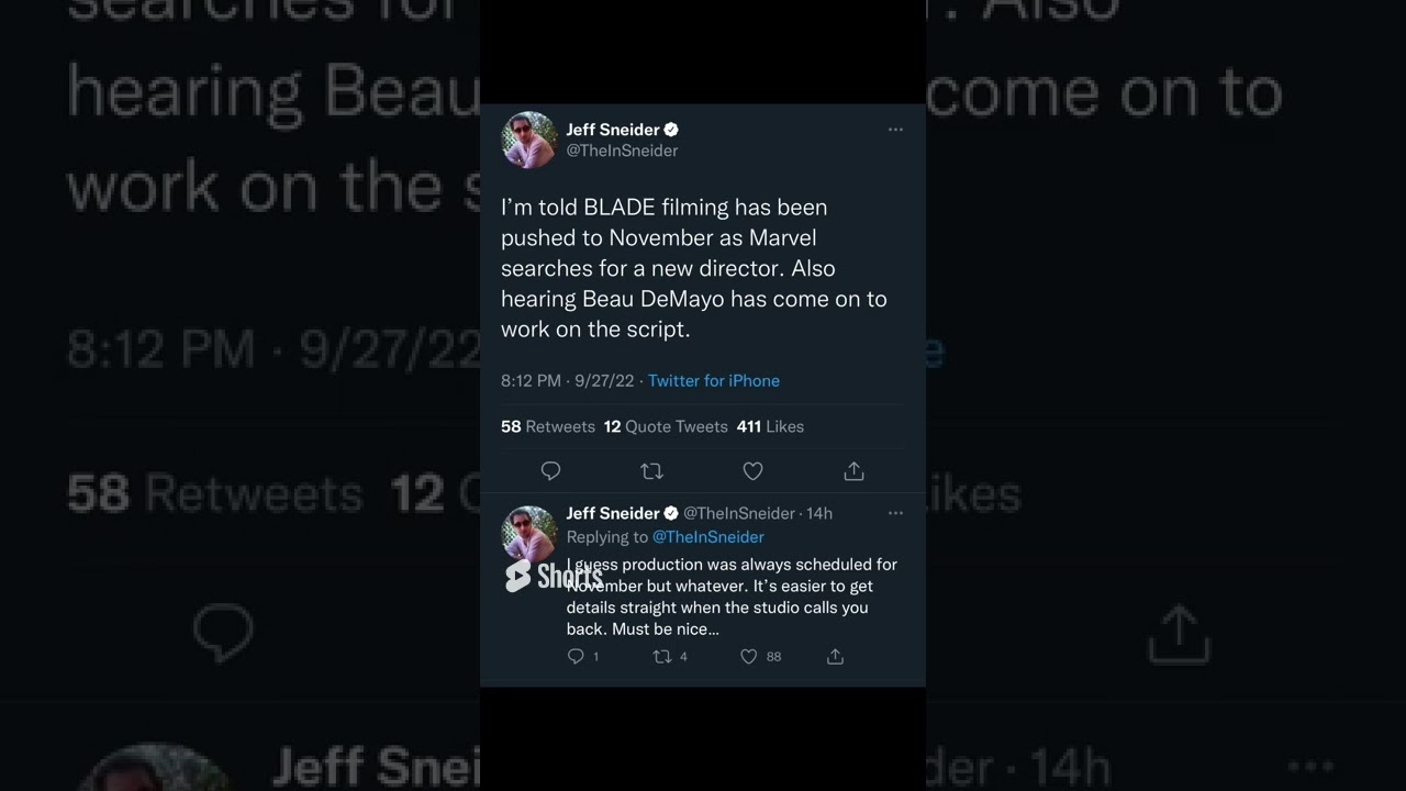 New Blade Movie Loses It&rsquo;s Director