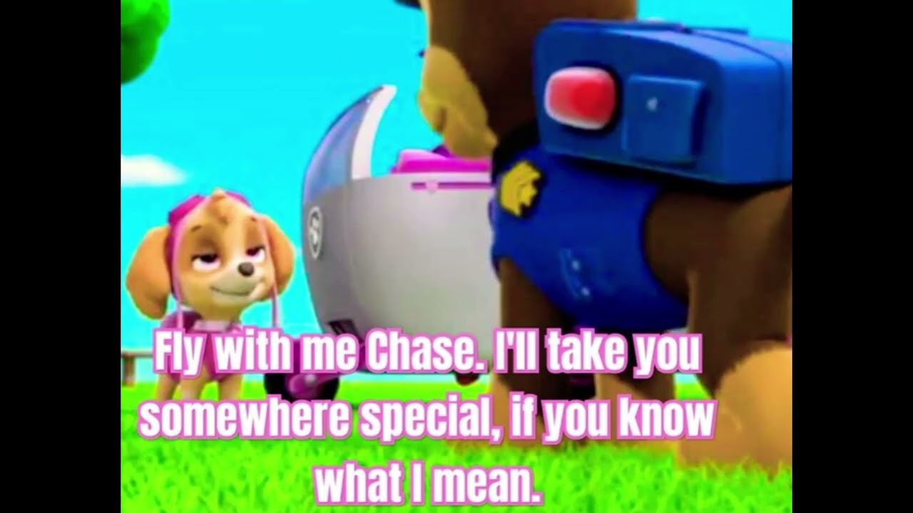 paw patrol memes