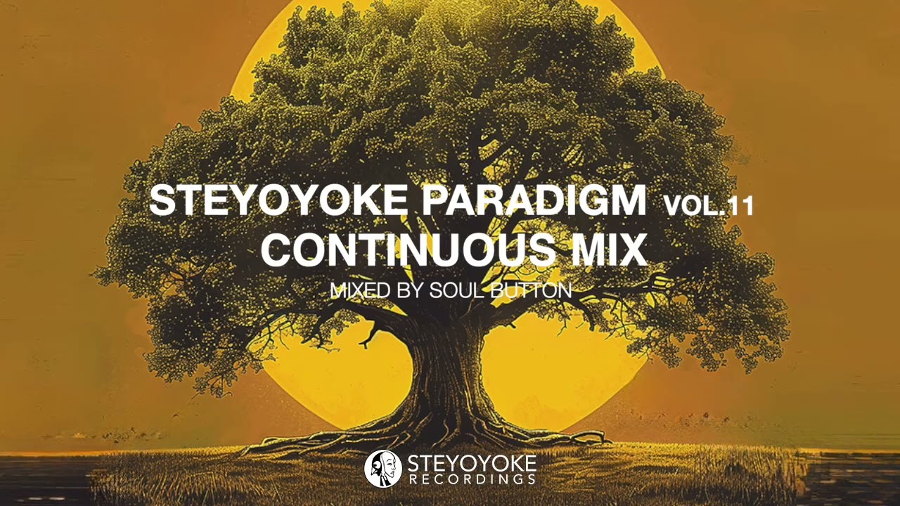Steyoyoke Perception Vol. 11 [Continuous Mix] | Mixed by Soul Button