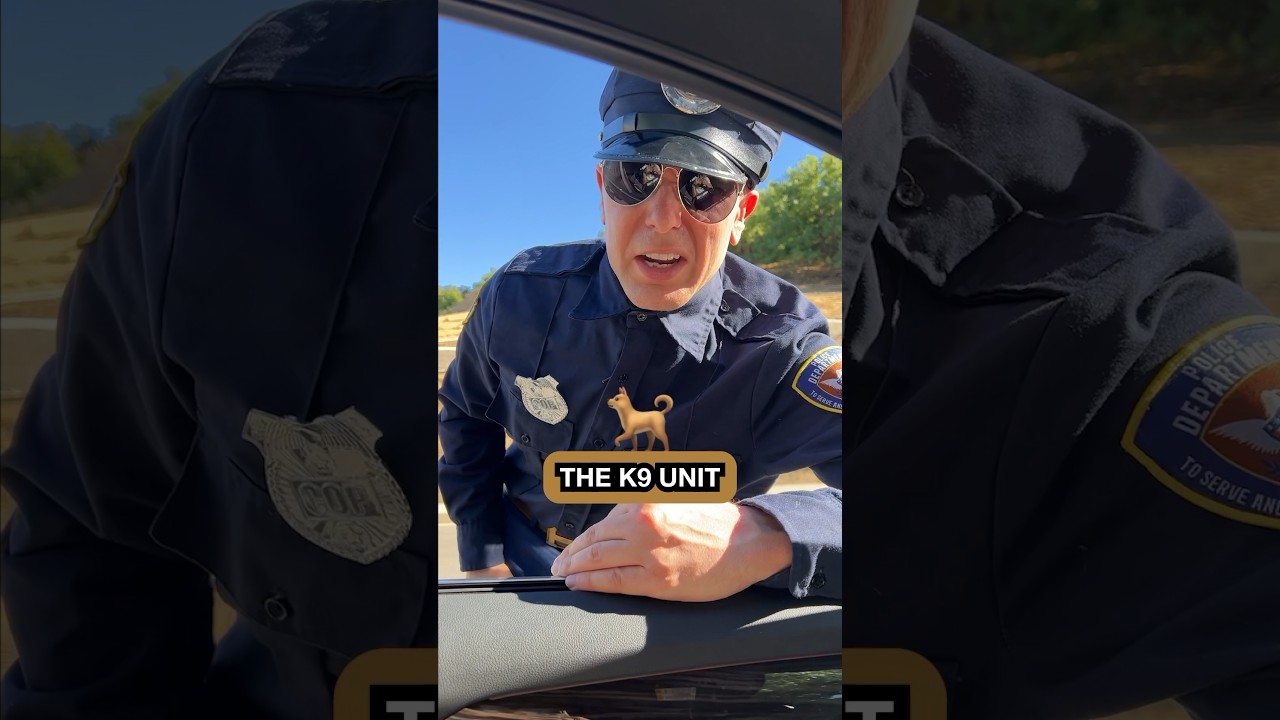 Cops Inside Your Car?