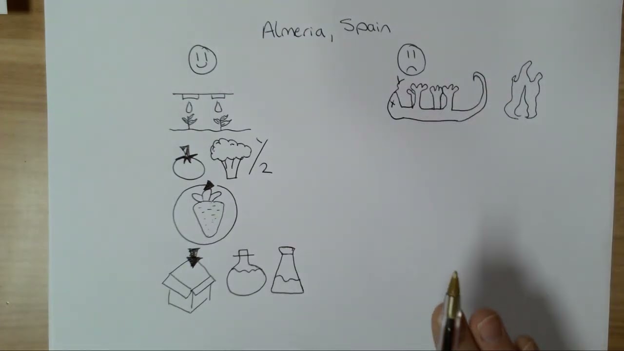 Large scale agricultural development, Almeria