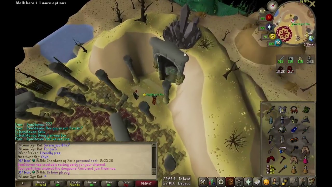 [Ironman] Ramble 6 - Collection Log, Goals, ToA, YouTube, IRL