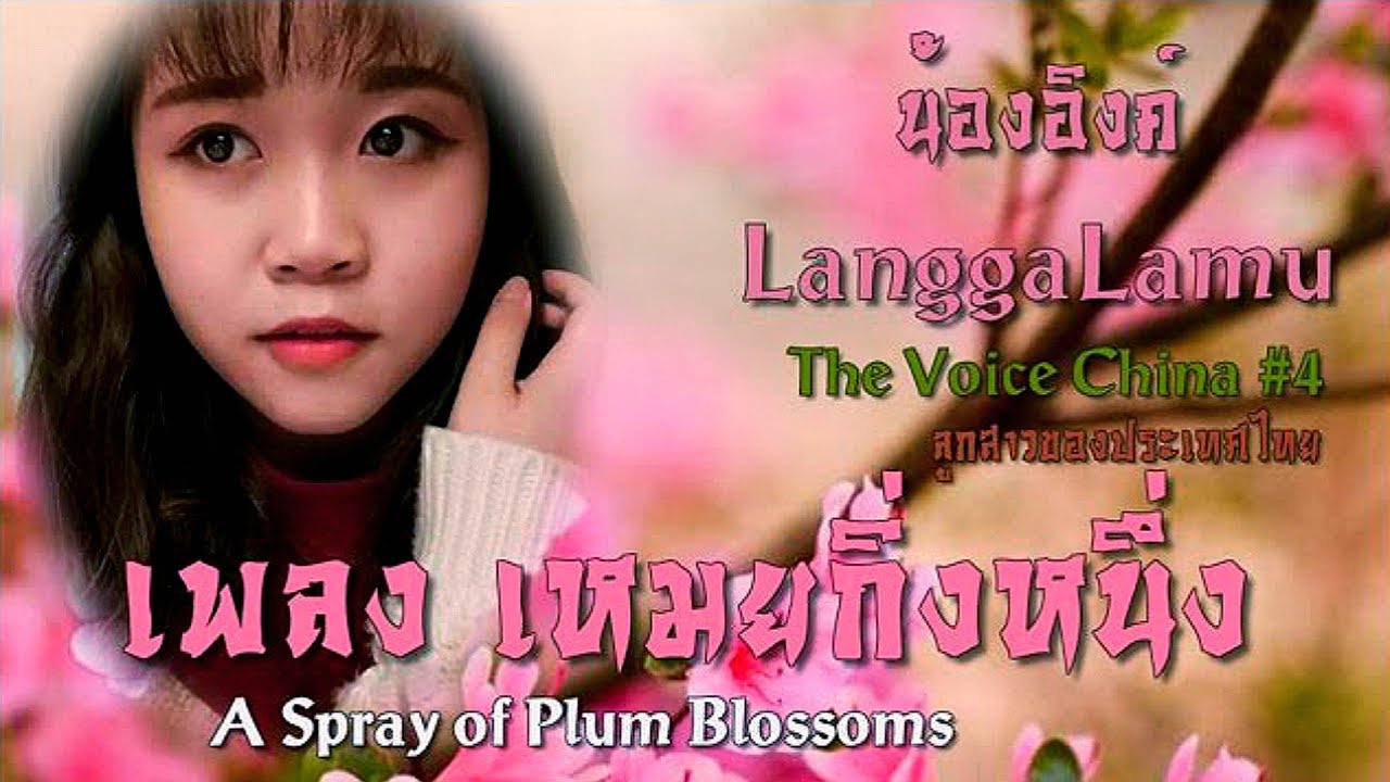 朗嘎拉姆 Langgalamu 一剪梅  อี่เจี้ยนเหมย  Yi Jian Mei (A branch of plum blossom) xue hua piao piao 雪花飘飘