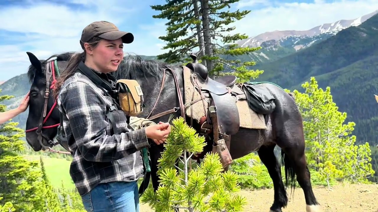 June Wildlife Tracking and Conservation Horse Pack Trip to Spruce Lake