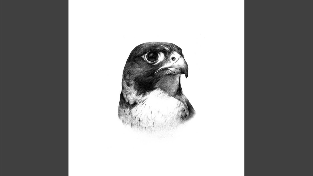 Biscotti (Original Mix)