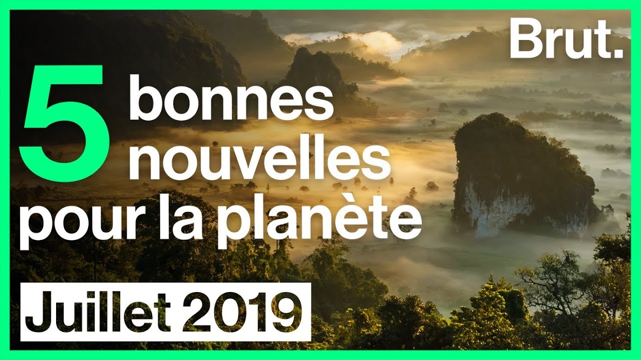 5 bonnes nouvelles pour la planète