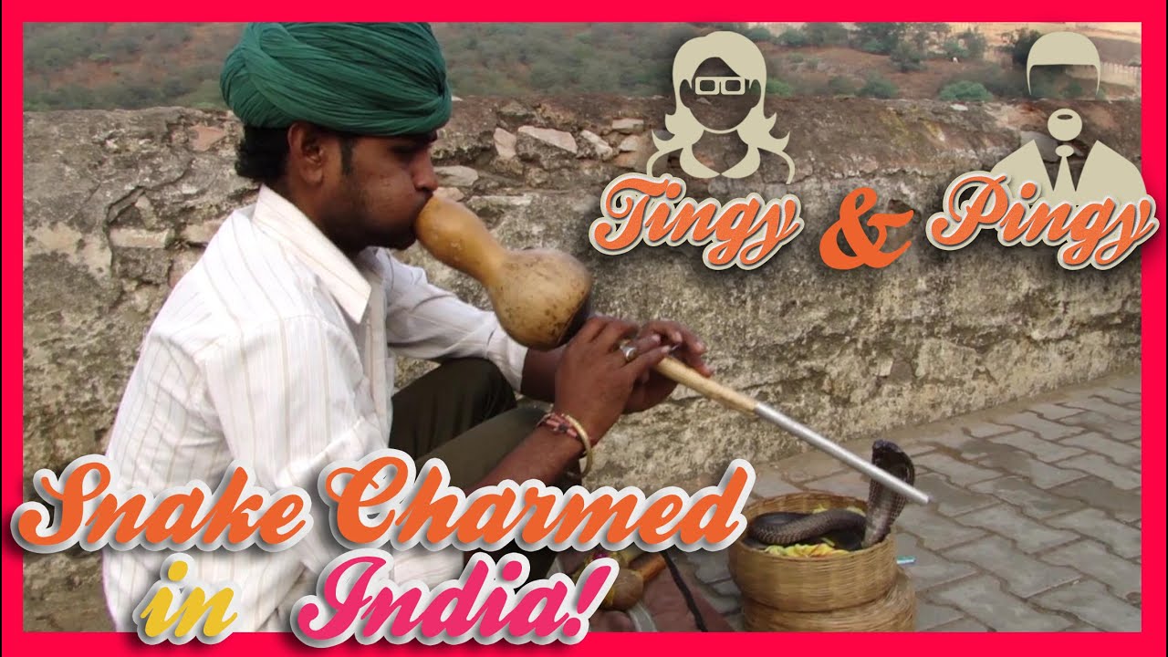 Tingy & Pingy... Snake Charmed In India!