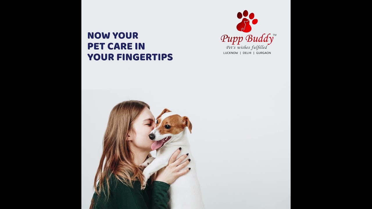Coming Soon..Pupp Buddy App..Download the App..#puppbuddy #downloadtheapp #launchingsoon #support