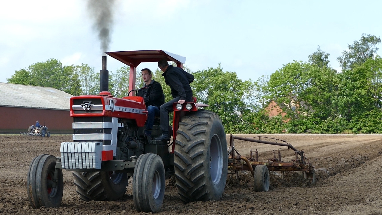 Massey Ferguson 35, 135, 590, 1100, 1135, 3690 | Ploughing Ferguson Days Denmark