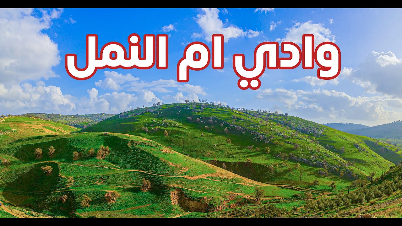 وادي أم النمل شمال الأردن - جبال تيليتابيز - اجمل اماكن للسياحة في الربيع الاردن