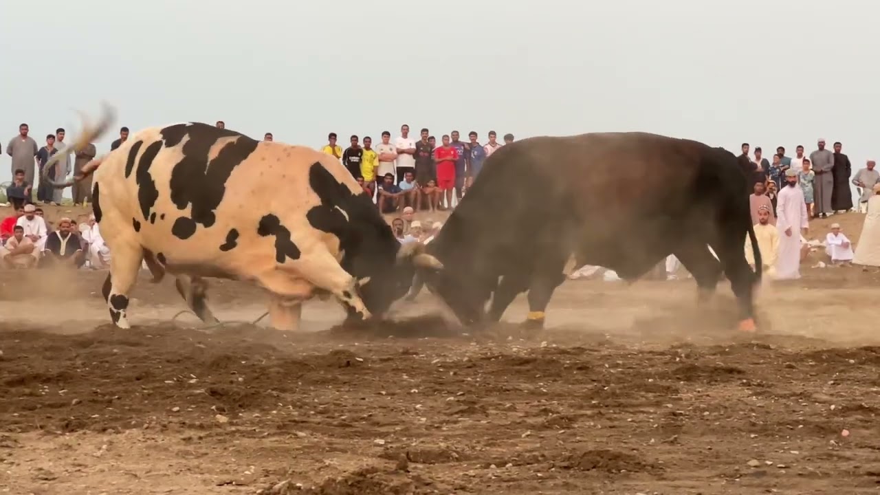 بانيان اولاد العجيد - الدكتور الخالدي