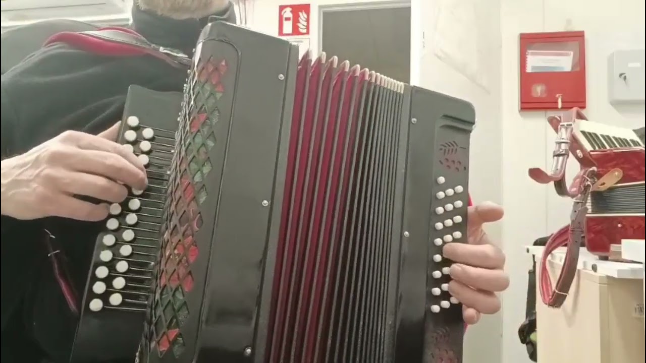 Українська народна пісня Верба листя ронить (Йшов стрілець у чужину). Розбір на гармошці.