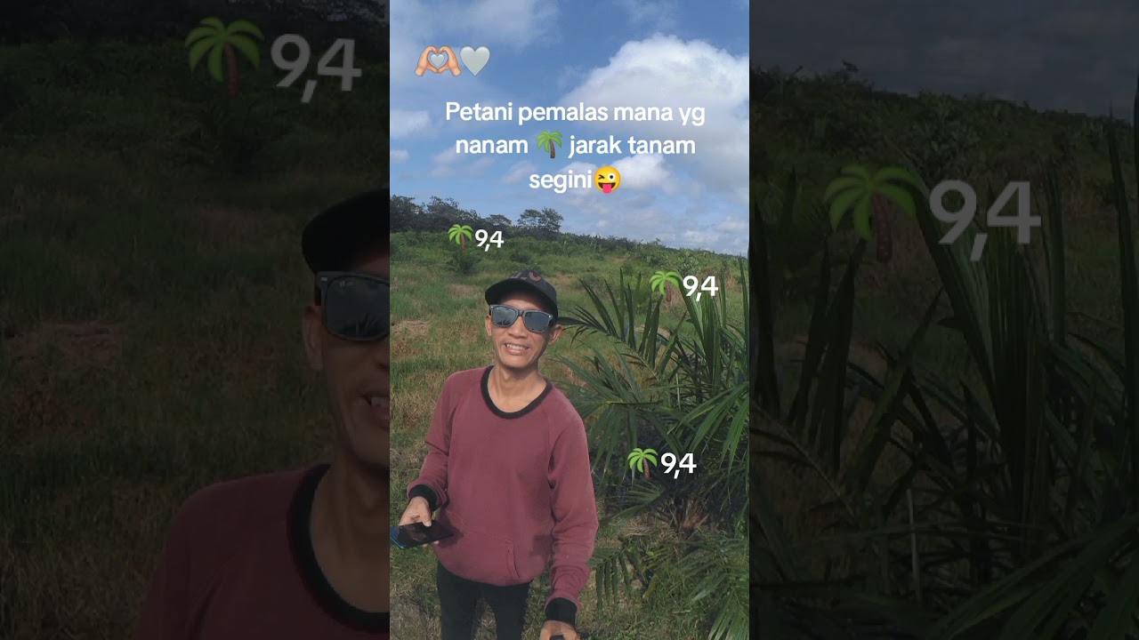 Korban bibit sawit abal&sup2;