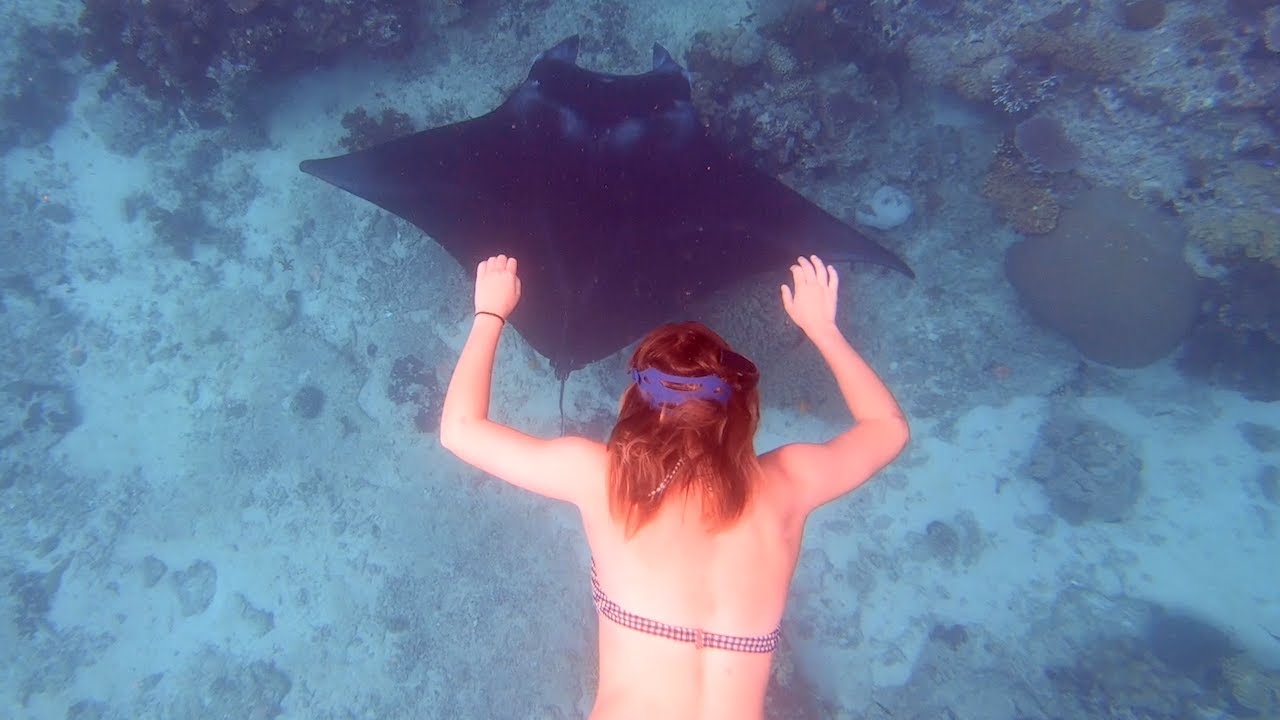 Remote Fiji | Turtles first steps, mantas | Nth side of Vanua Levu S6:E3