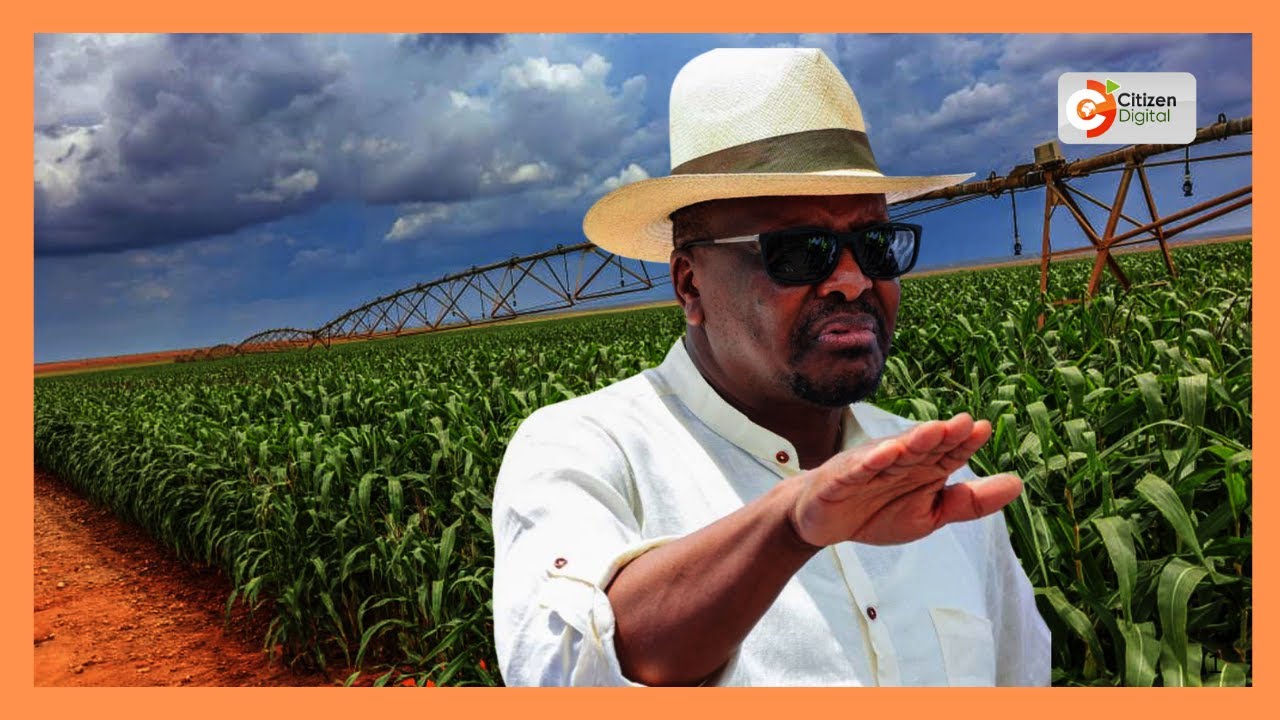 CS Kagwe warns maize farmers to release crops within 30 days or government will import