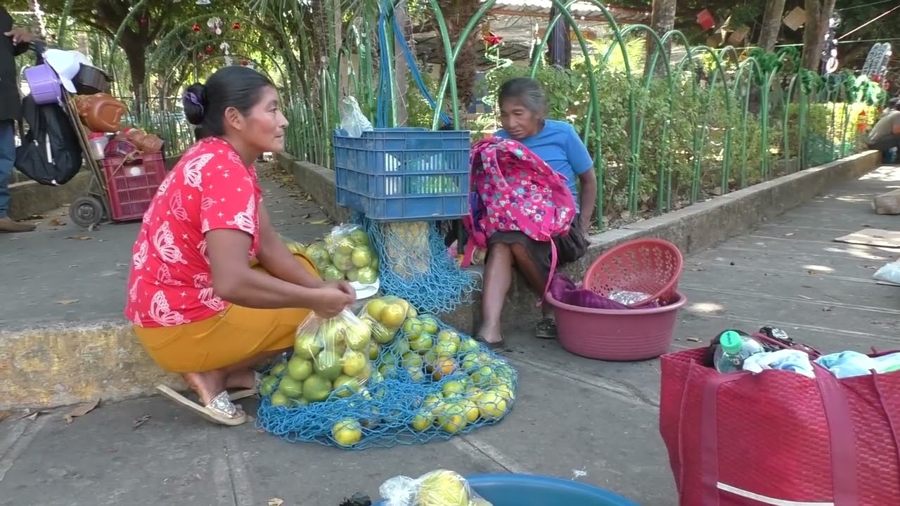Hondureños viajan a El Salvador para trabajar