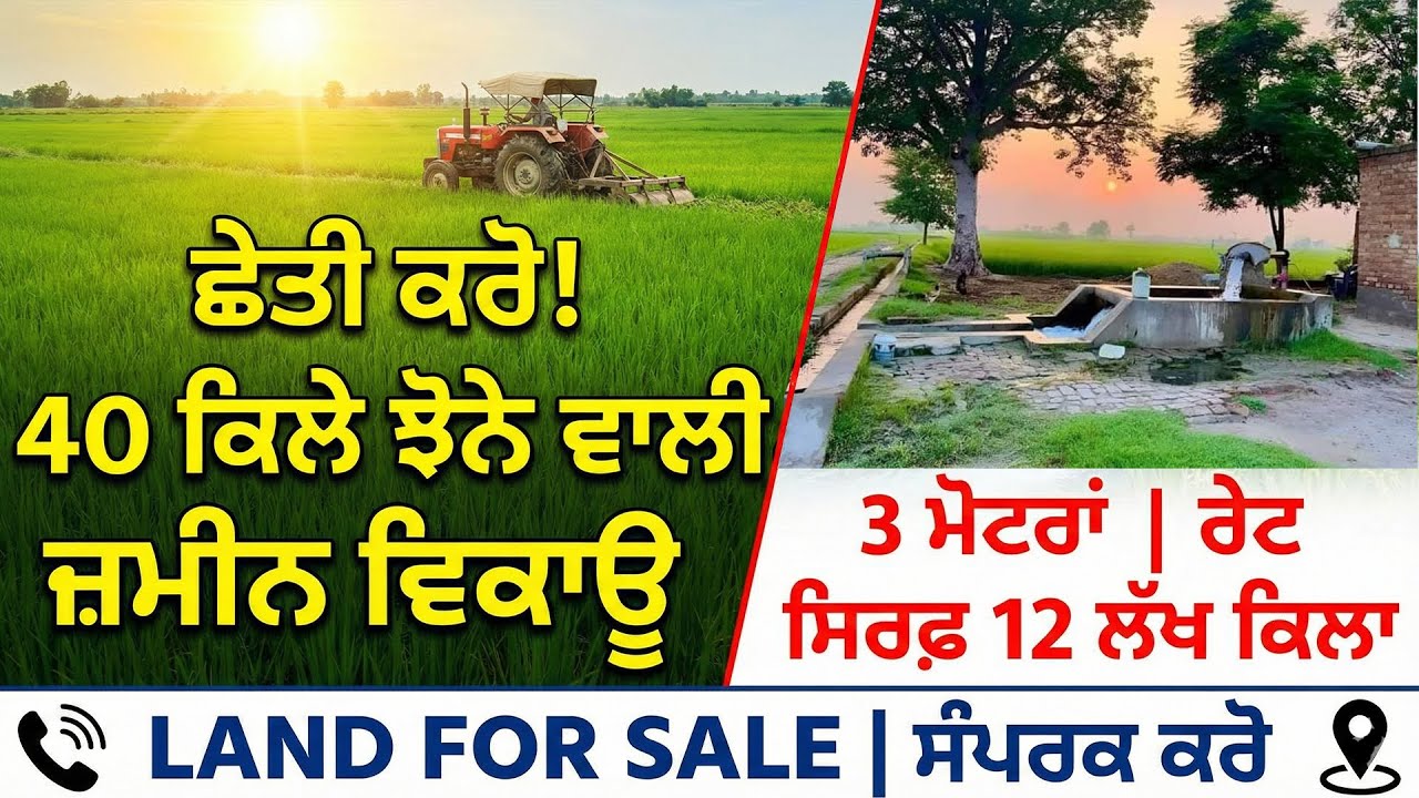 ਛੇਤੀ ਕਰੋ! 40 ਕਿਲੇ ਝੋਨੇ ਵਾਲੀ ਜ਼ਮੀਨ ਵਿਕਾਊ | 3 ਮੋਟਰਾਂ | ਰੇਟ ਸਿਰਫ਼ 12 ਲੱਖ ਕਿਲਾ | Land For Sale