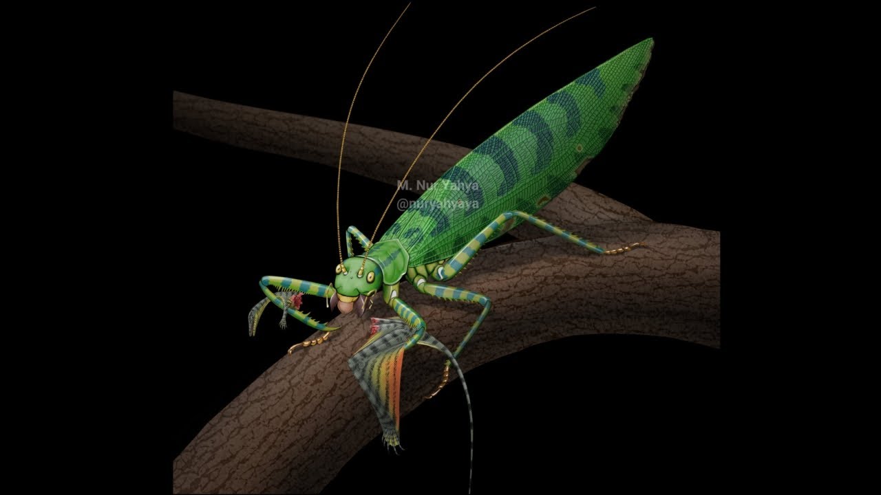 Gigatitan / Mantis Saltamonte Gigante / PaleoPedias