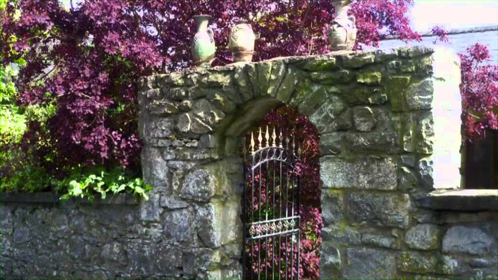 Beautiful Gort - PART (2)
