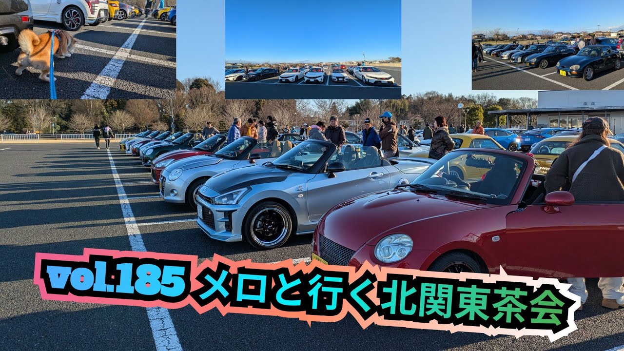 【柴兄妹の愉快な日々】vol.185 メロと行く北関東茶会（2026年1月）
