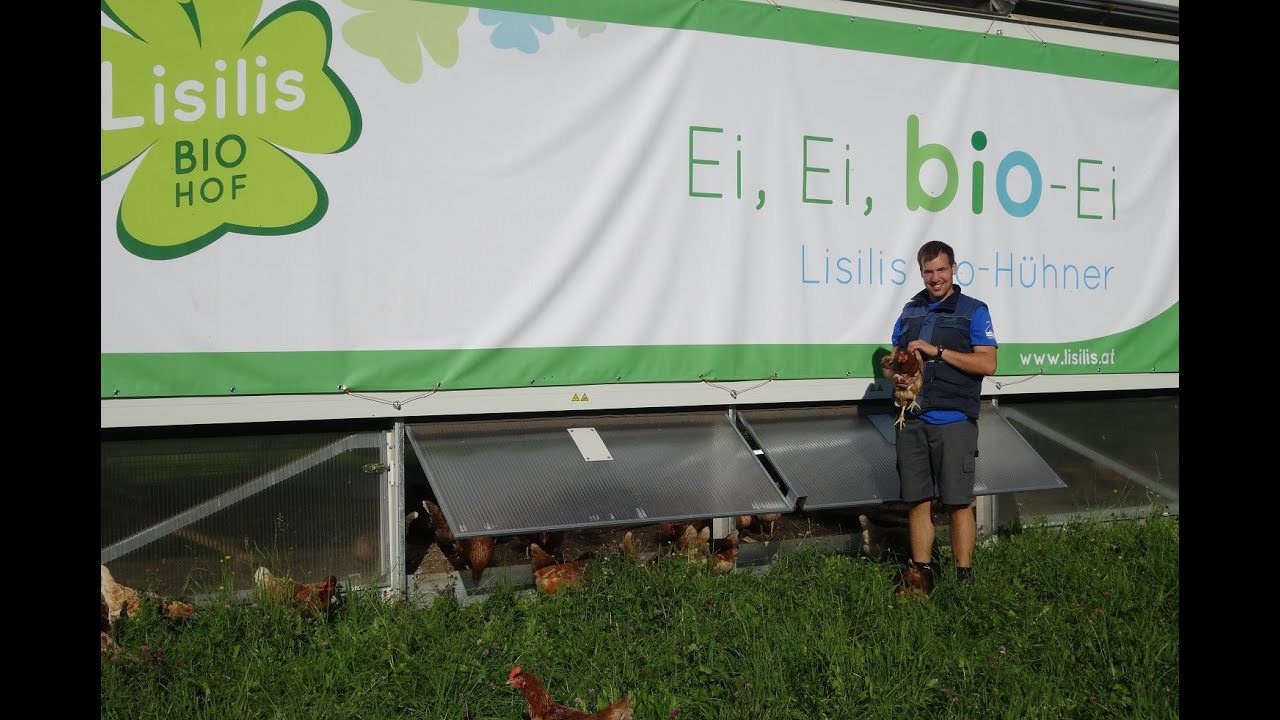 Lisilis Hühnermobil