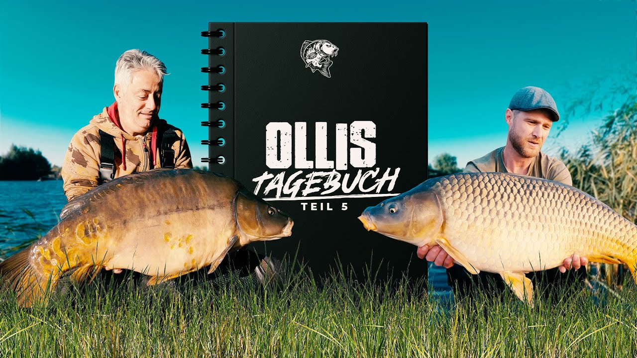 Ein Karpfen kommt selten allein [Tschechien]