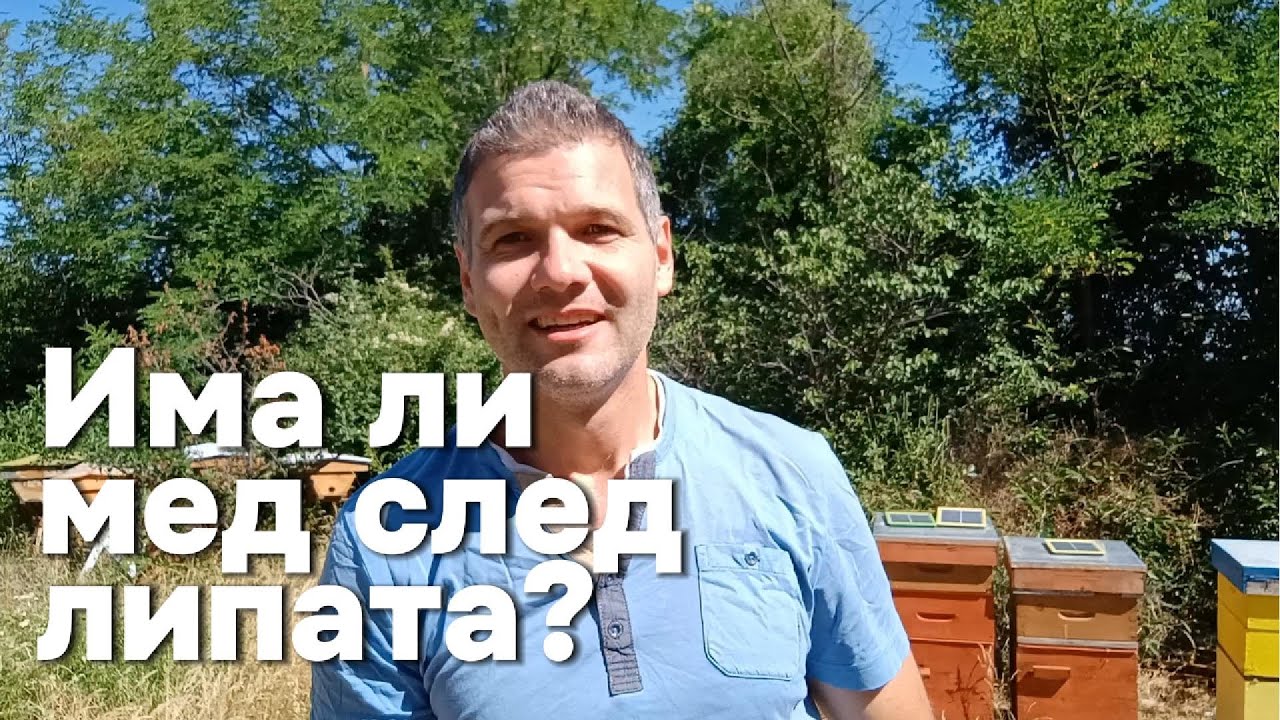 Изпълниха ли се очакванията ми за липовата паша