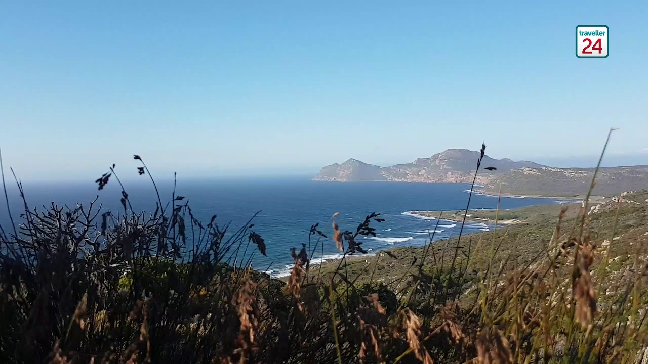 Hiking through the fynbos of Cape Point