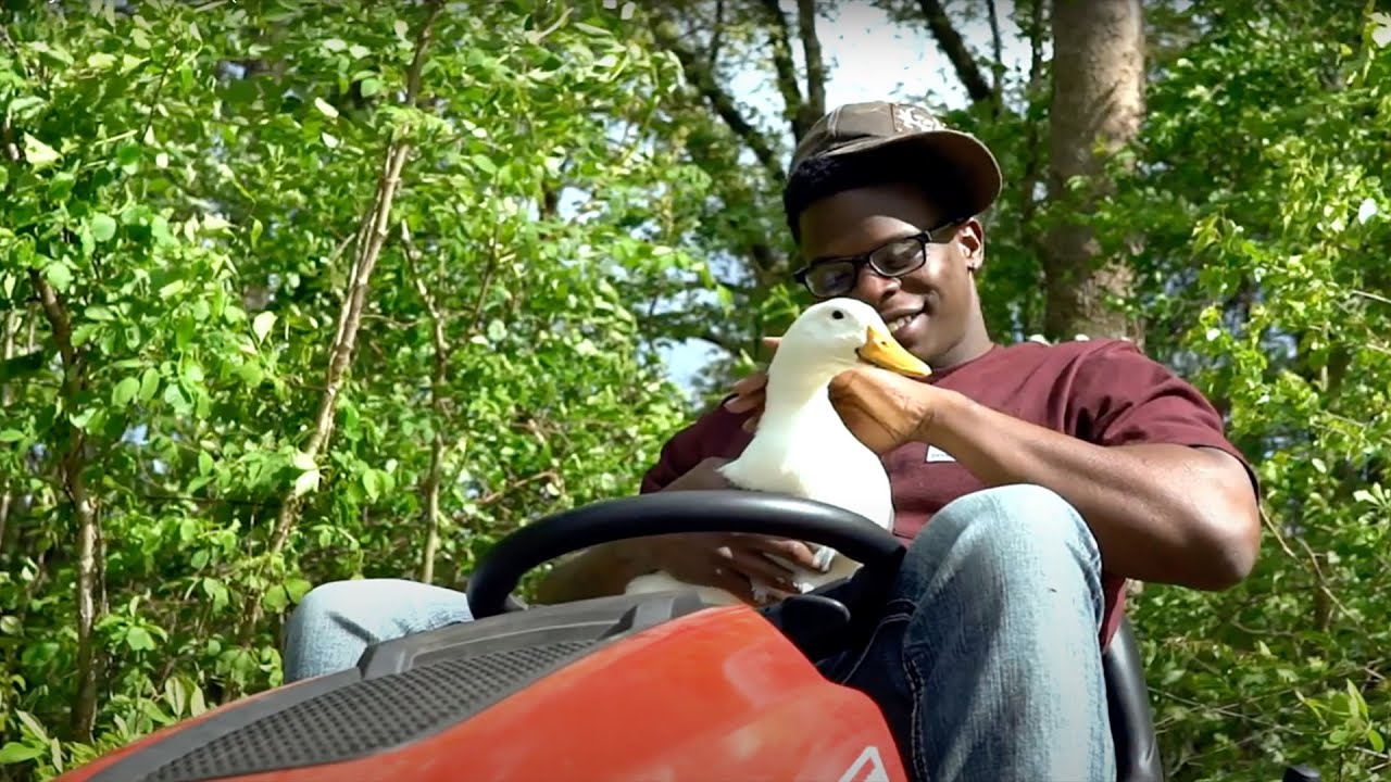 Only1BamaBoy - Stank Hoe (OFFICIAL MUSIC VIDEO)