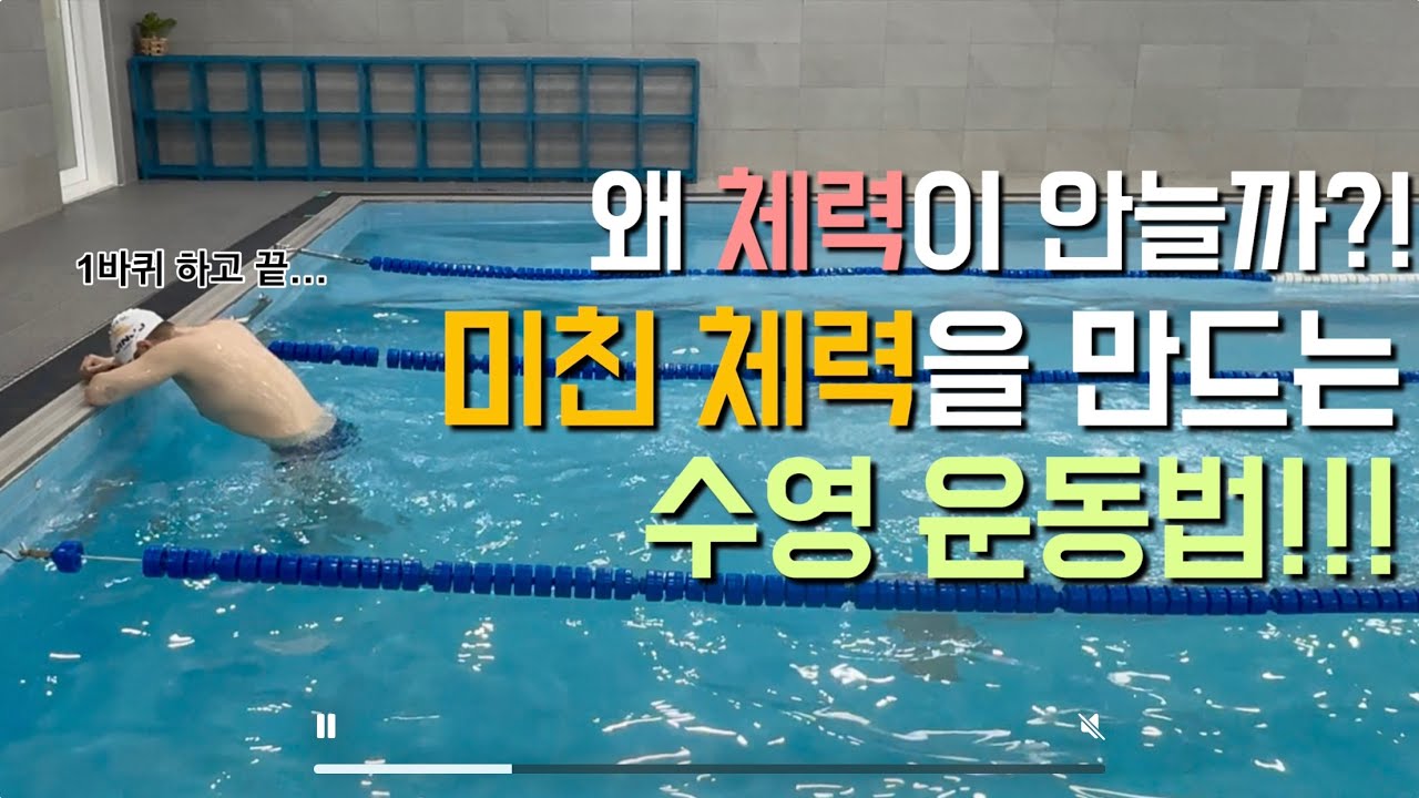 이렇게 수영해야 체력이 늡니다!!!(수영체력, 수영체력훈련, 자유수영루틴, 스마일패스)